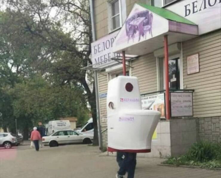 Daily Picdump Daily Picdump