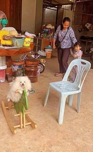 Daily Picdump Daily Picdump