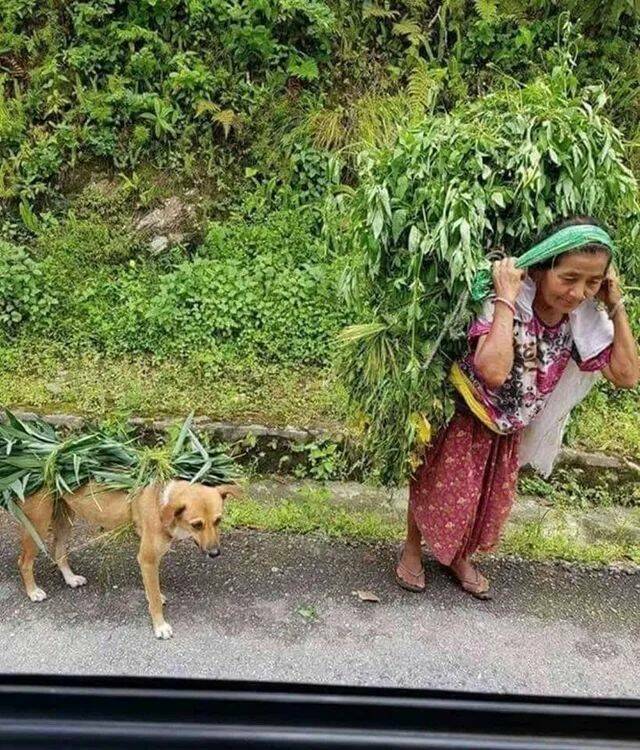 Daily Picdump Daily Picdump