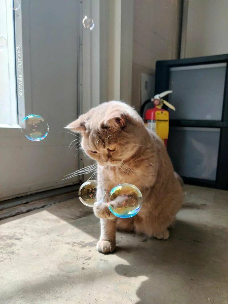 Daily Picdump Daily Picdump