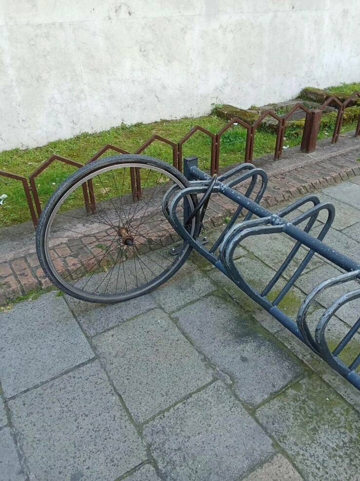 Daily Picdump Daily Picdump