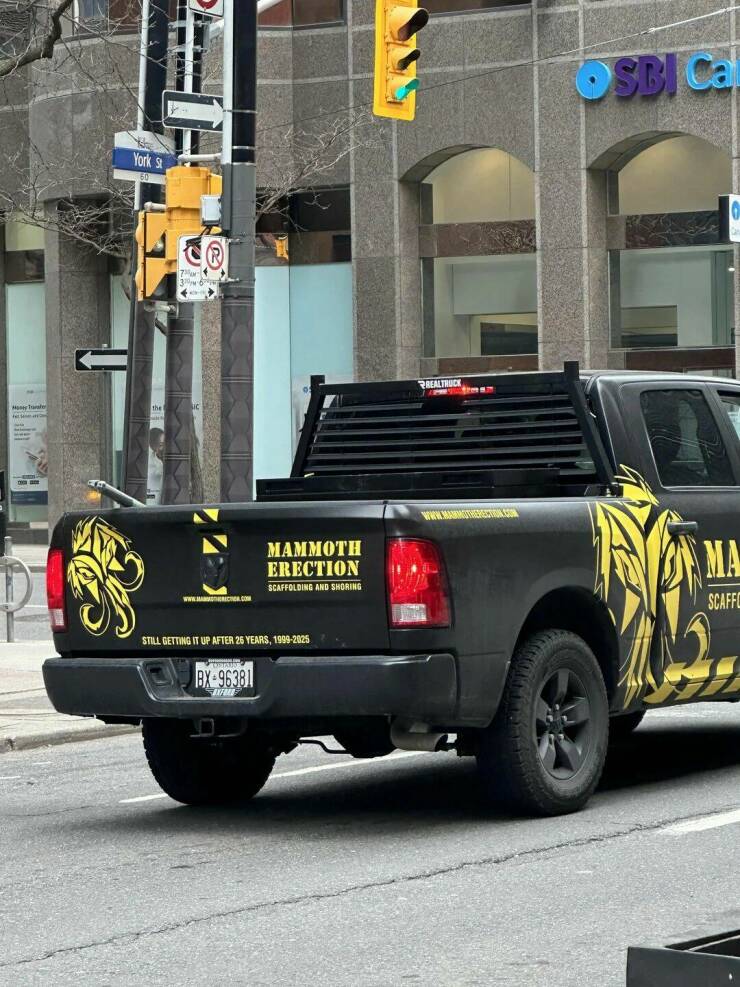 Daily Picdump Daily Picdump