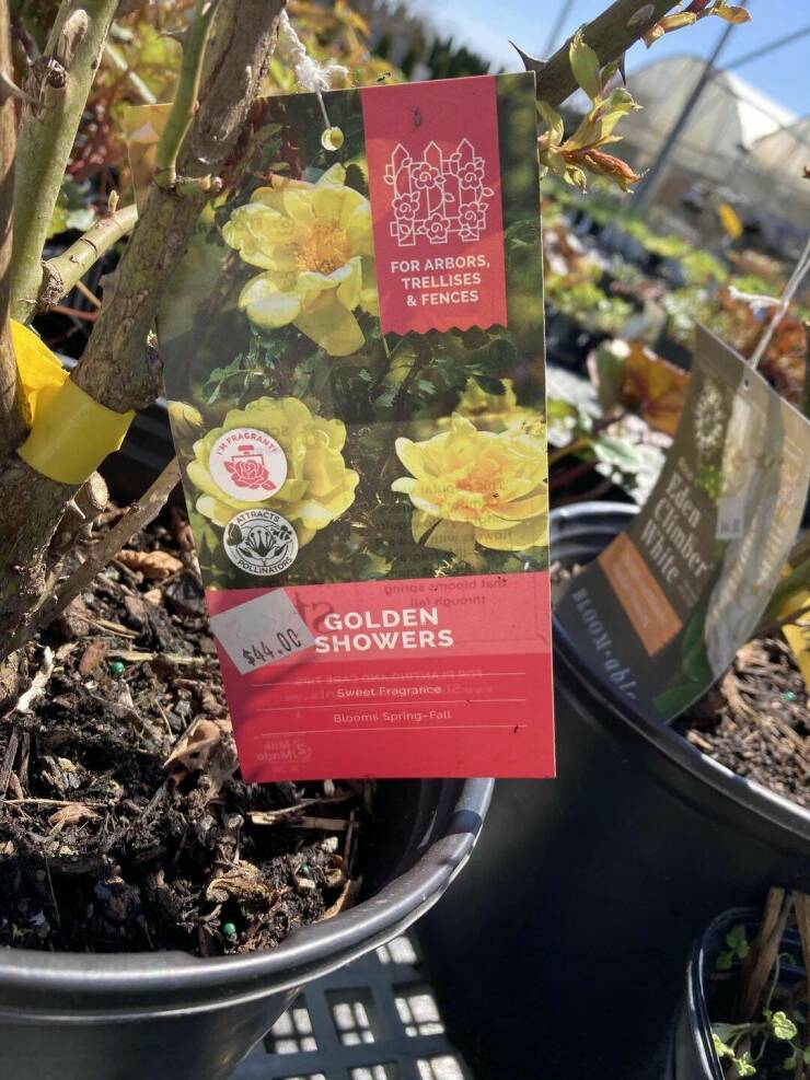 Daily Picdump Daily Picdump