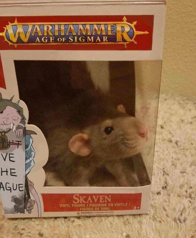 Daily Picdump Daily Picdump