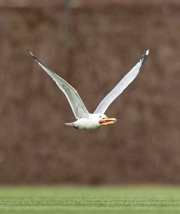 Daily Picdump Daily Picdump