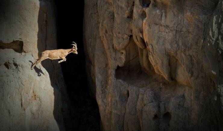 Morning Picdump Morning Picdump