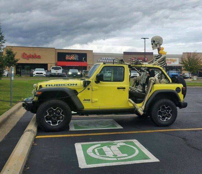 Morning Picdump Morning Picdump