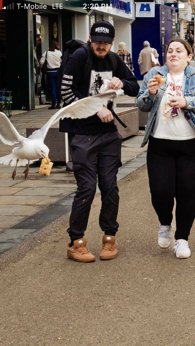 Morning Picdump Morning Picdump