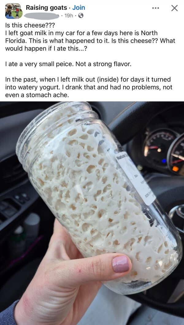 Photos That Show Were Just Wingin It As A Species And Somehow Still Alive