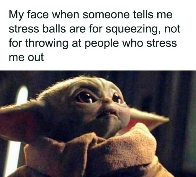 Totally Random, Absolutely Hilarious Memes