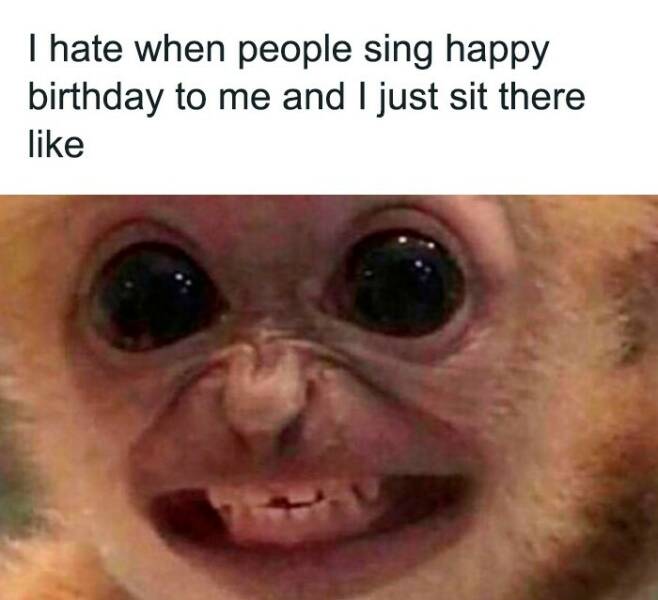 Totally Random, Absolutely Hilarious Memes