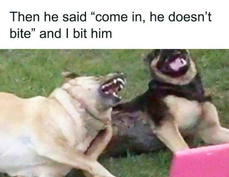 Totally Random, Absolutely Hilarious Memes