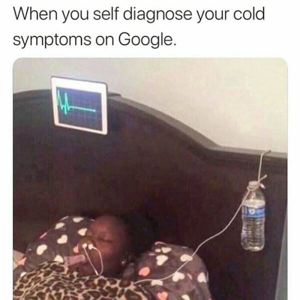 Totally Random, Absolutely Hilarious Memes