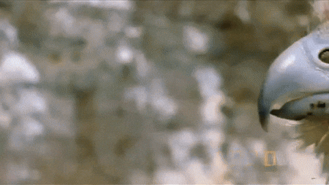 Random Facts To Spice Up Your Day