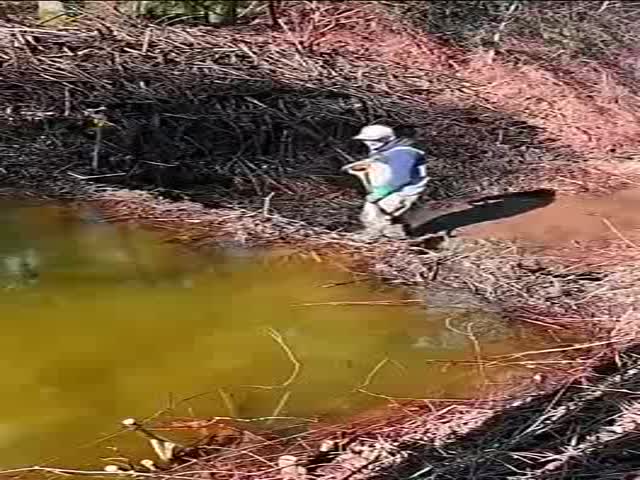 Dismantling Beaver Dams