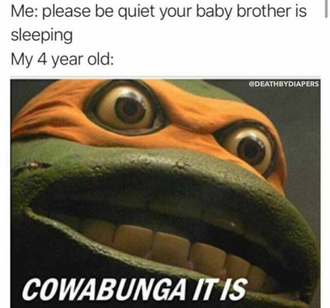 Memes That Show The Chaos And Love Of Being A Parent