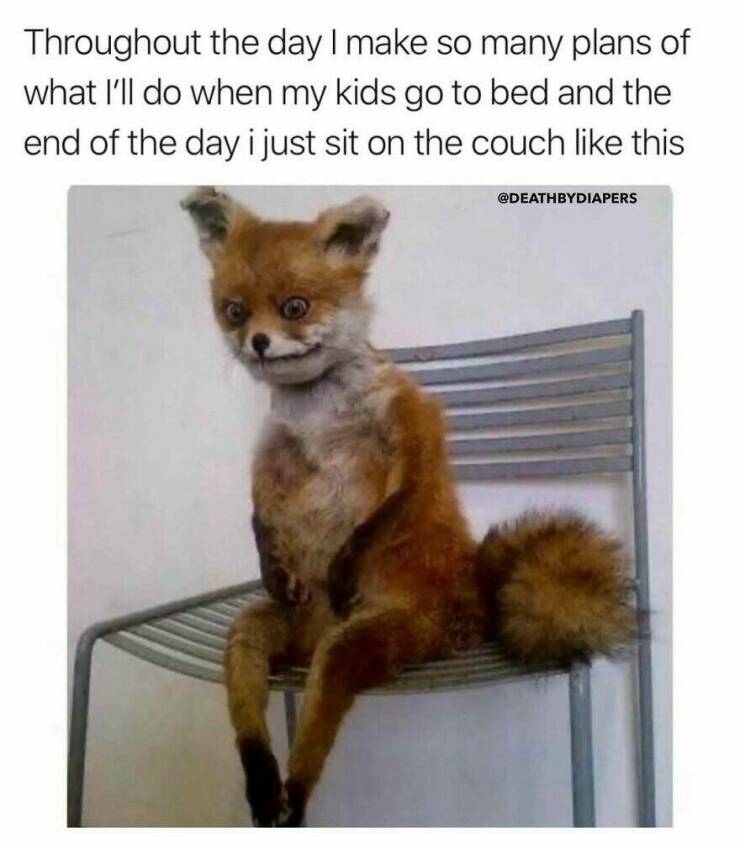 Memes That Show The Chaos And Love Of Being A Parent