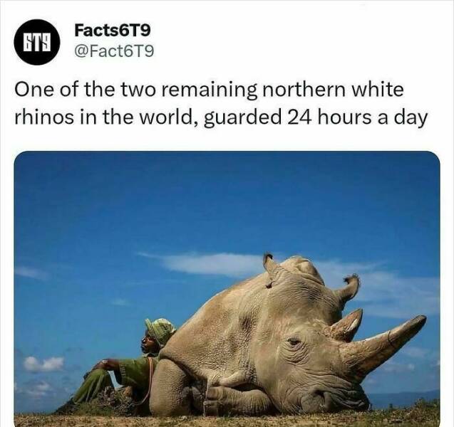 Unbelievable Facts That Sound Fake But Aren’t