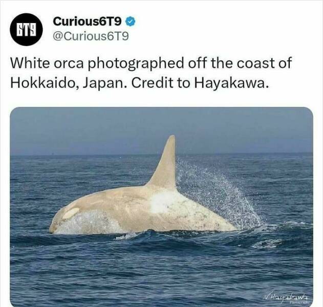 Unbelievable Facts That Sound Fake But Aren’t