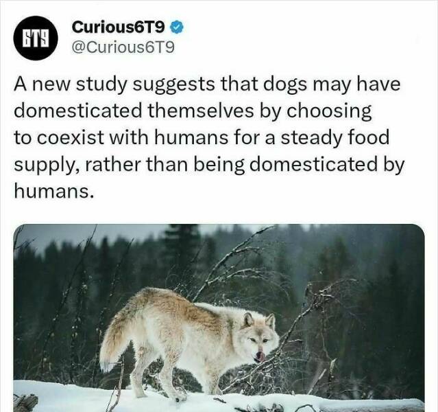 Unbelievable Facts That Sound Fake But Aren’t