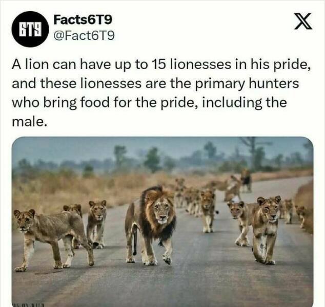 Unbelievable Facts That Sound Fake But Aren’t