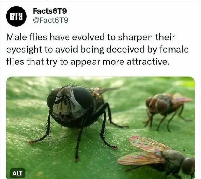 Unbelievable Facts That Sound Fake But Aren’t