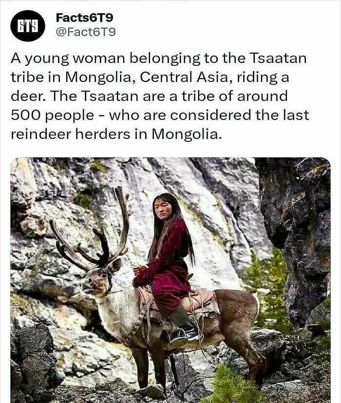 Unbelievable Facts That Sound Fake But Aren’t