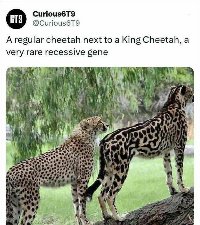 Unbelievable Facts That Sound Fake But Aren’t