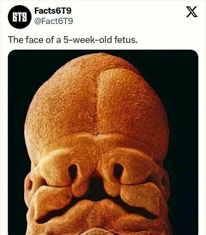 Unbelievable Facts That Sound Fake But Aren’t