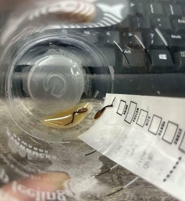 When Bad Days Strike