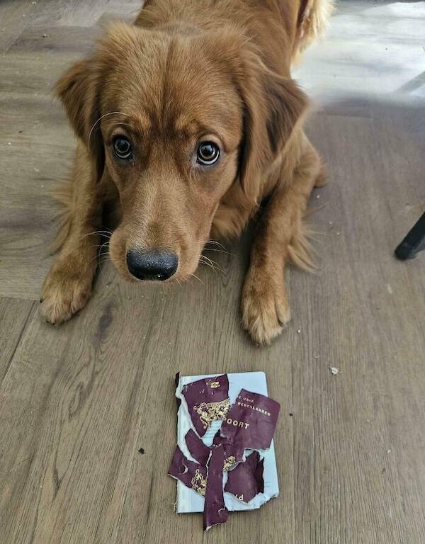 When Bad Days Strike