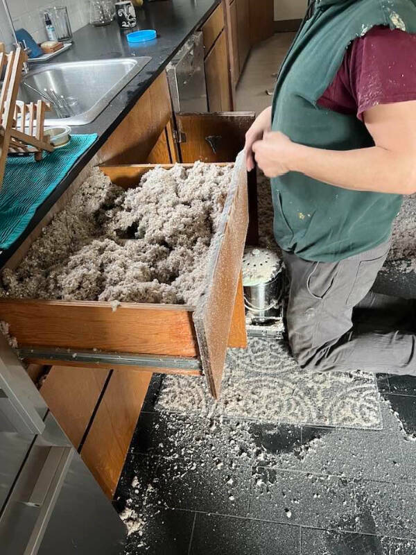 When Bad Days Strike