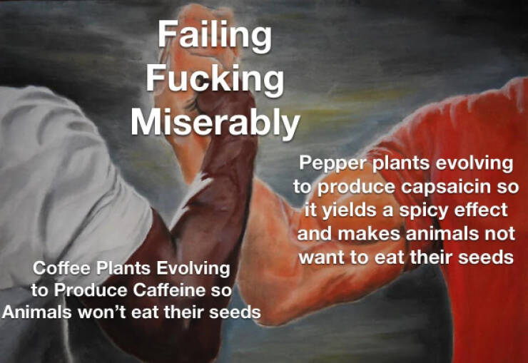 You Laugh, You Lose. Let’s Play! You Laugh, You Lose. Let’s Play!