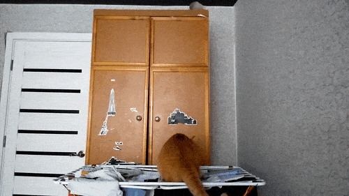 Daily Gifdump Daily Gifdump