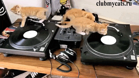 Daily Gifdump Daily Gifdump