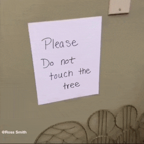 Daily Gifdump Daily Gifdump