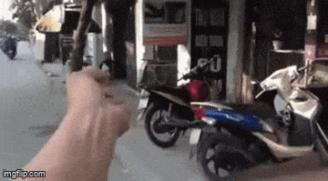 Daily Gifdump Daily Gifdump