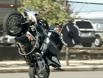 Daily Gifdump Daily Gifdump