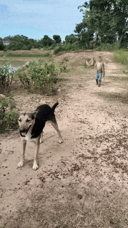 Daily Gifdump Daily Gifdump