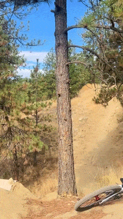 Failure Is A Dish Best Served… Recorded And Uploaded To The Internet