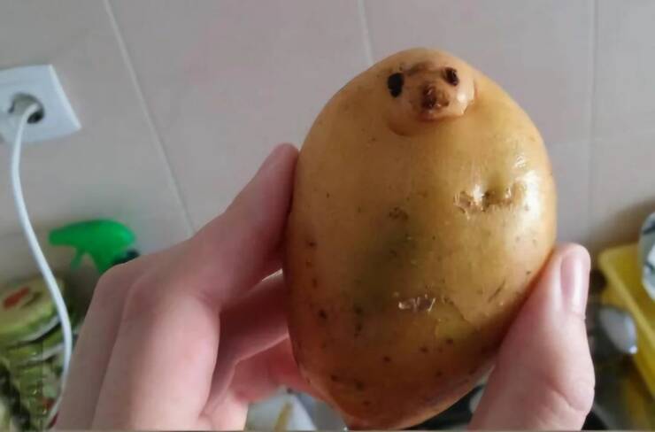 Daily Picdump Daily Picdump