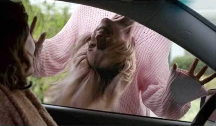 Daily Picdump Daily Picdump