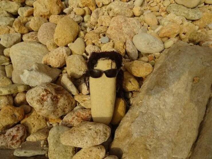 Daily Picdump Daily Picdump