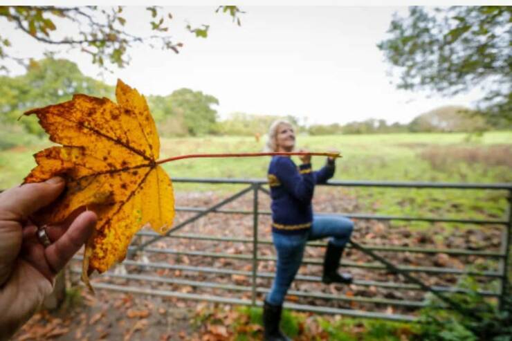 Daily Picdump Daily Picdump