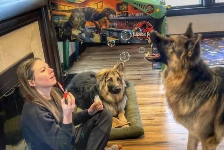 Daily Picdump Daily Picdump