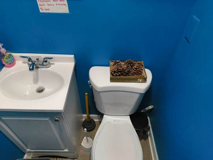 Daily Picdump Daily Picdump