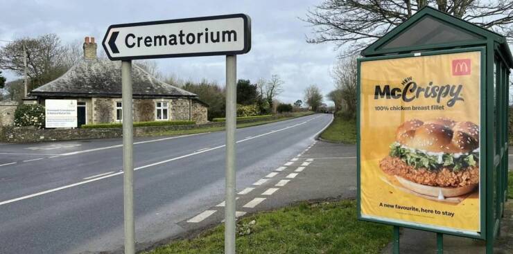 Daily Picdump Daily Picdump