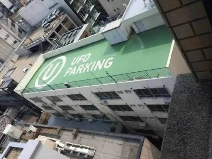 Daily Picdump Daily Picdump