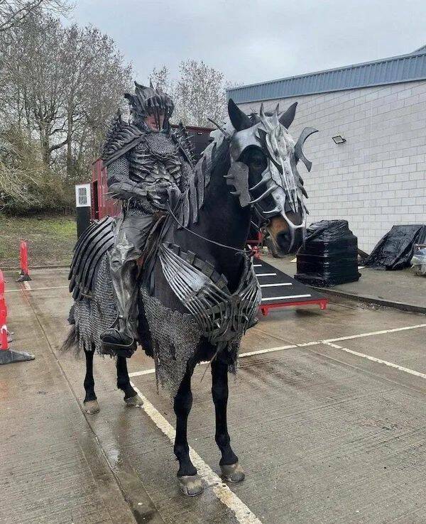 Daily Picdump Daily Picdump