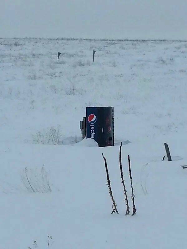 Daily Picdump Daily Picdump